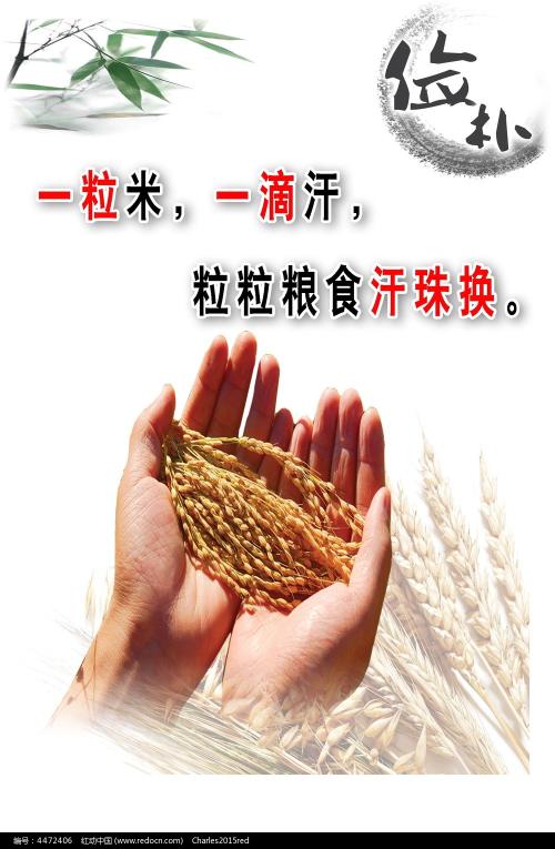 购买格拉夫顿时装设计学院成绩单
